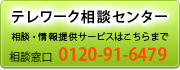 テレワーク相談センター