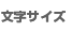 文字サイズの変更