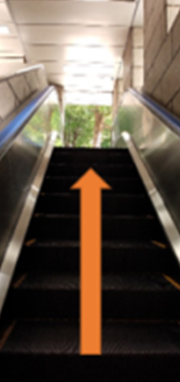 エスカレーターを上がる
